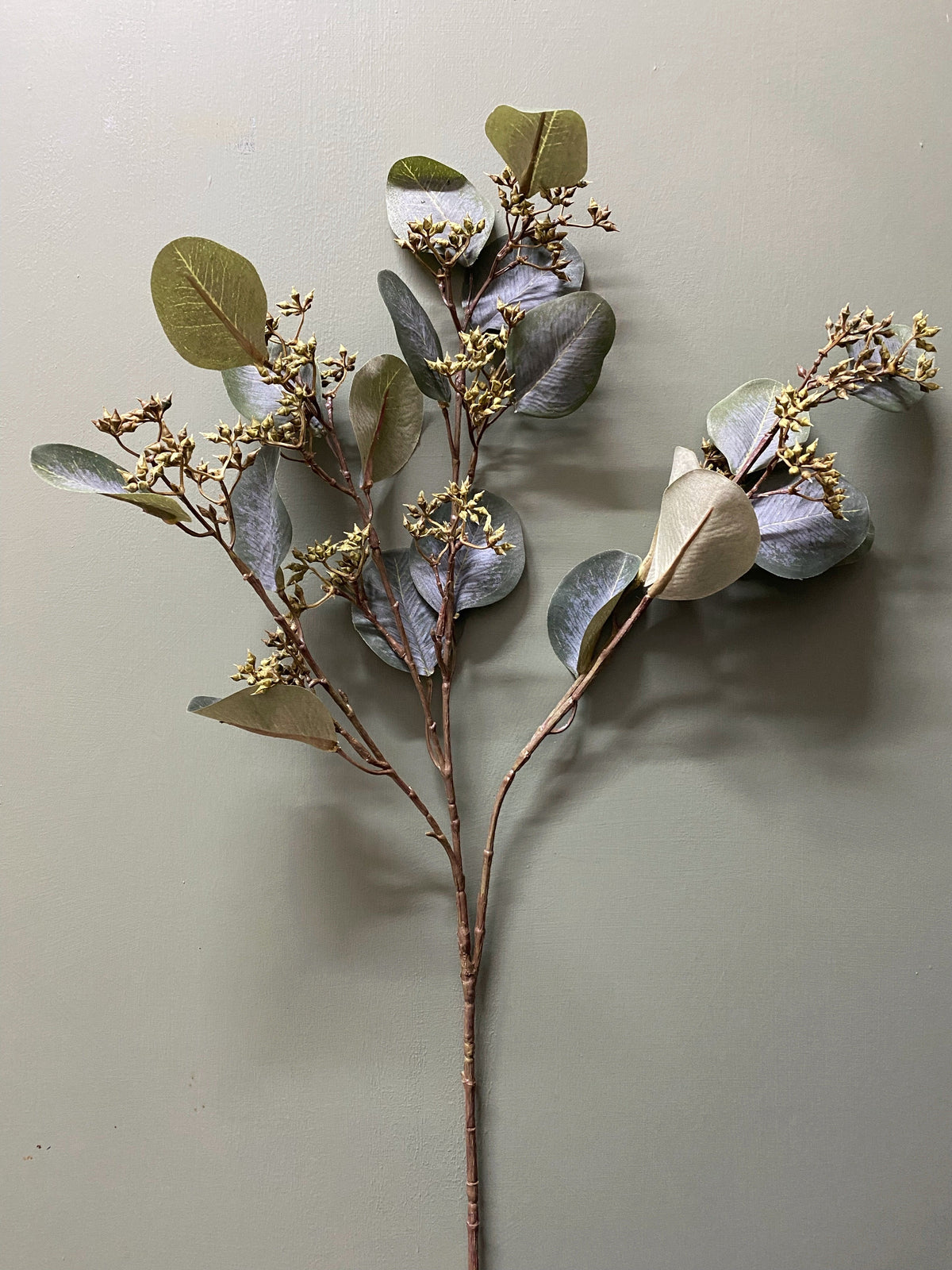 GUNNI EUCALYPTUS - SHORT STEM