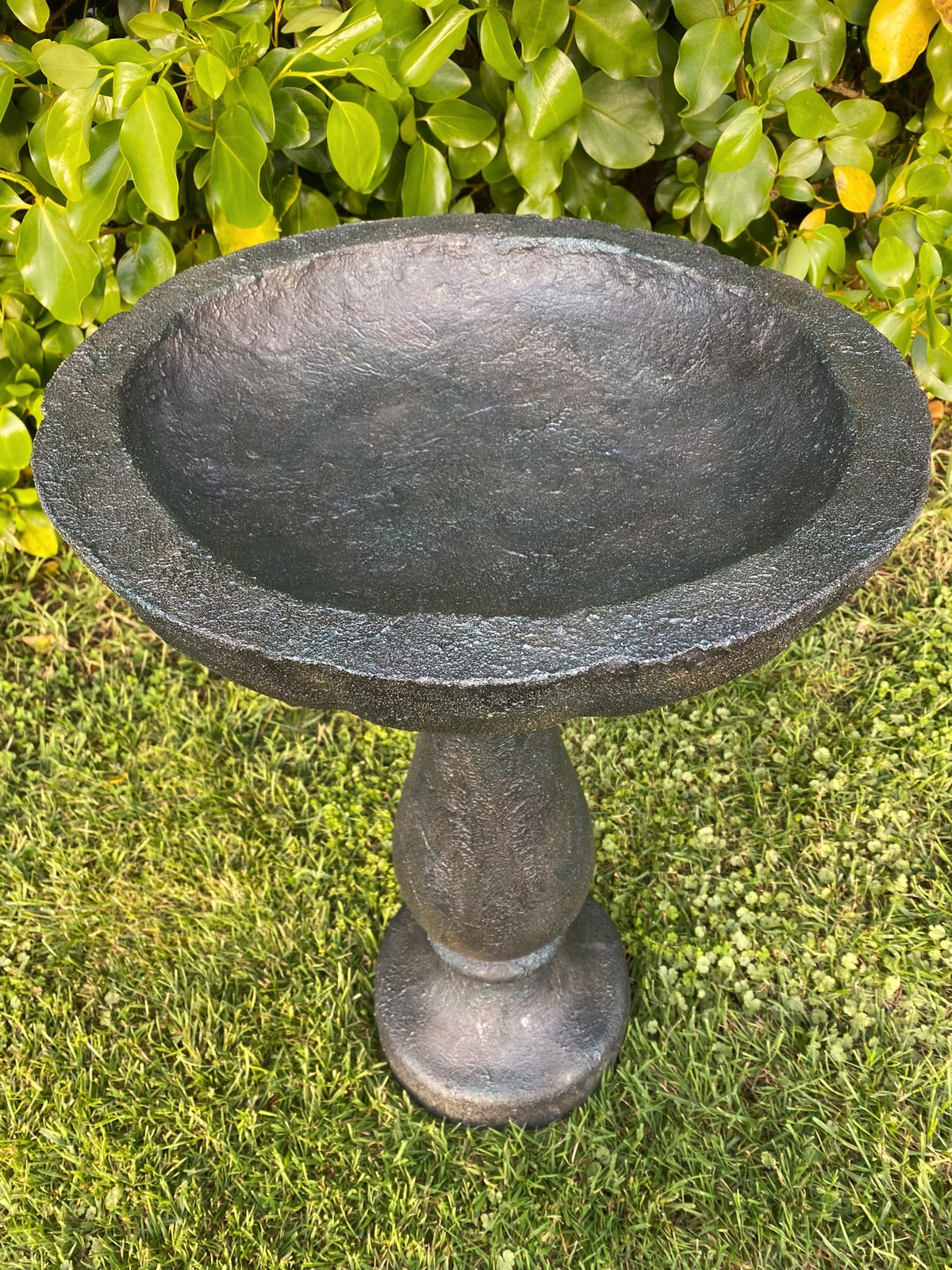 BIRD BATH