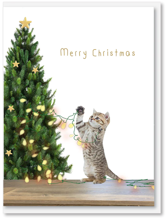 CHRISTMAS - CAT WITH TREE - OCC210