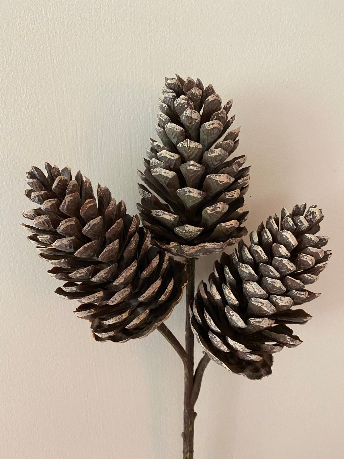 PINECONES